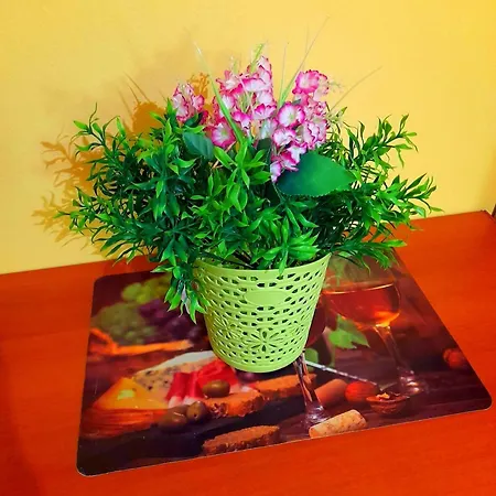 Grosse In Kampor Mit Eigenem Balkon Apartment *